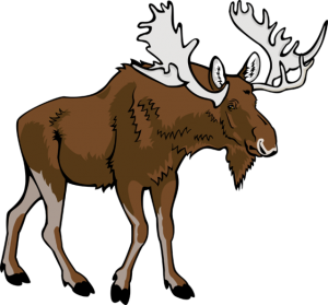 Moose, elk PNG-66255